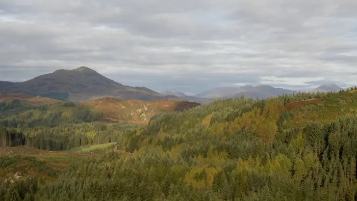 Looking towards Ben Venue over Achray forest
