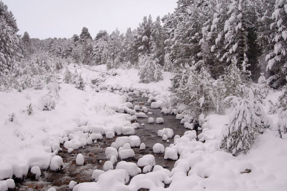 Snowy forest with a stream running through.