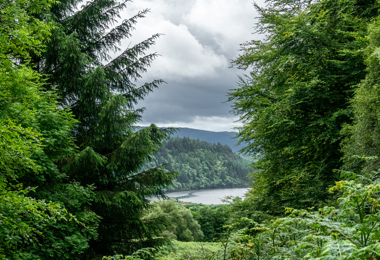  View of a loch through trees with hills in the back