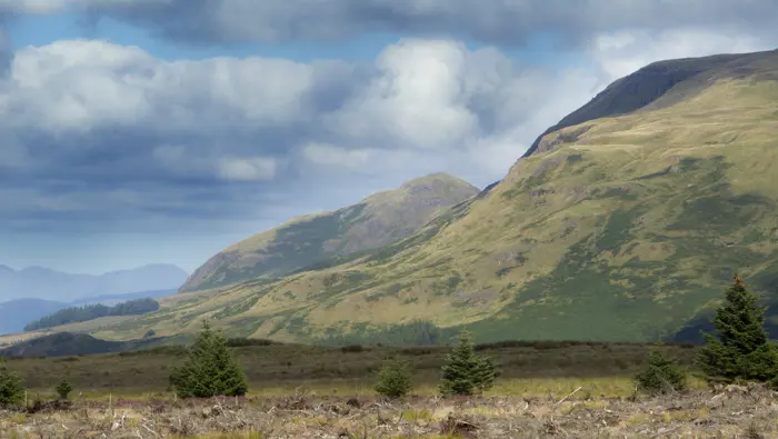  clear cut forest at the base of a mountain