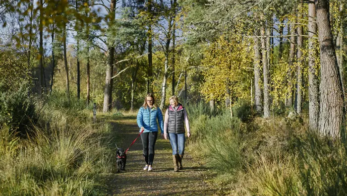 Two people with a dog on a lead walking along a forest path.