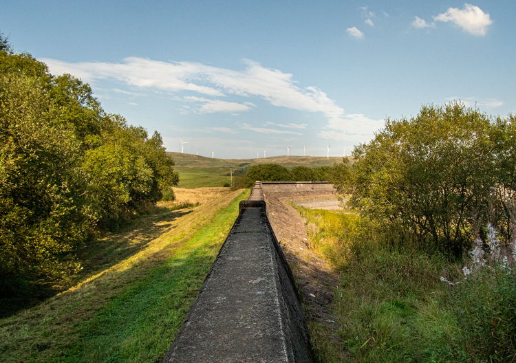 A water ridge with broadleaf trees and wind turbines in the background 