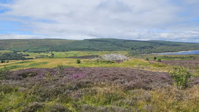 Purple heather in the foreground with a loch, fields and forest in the background. 