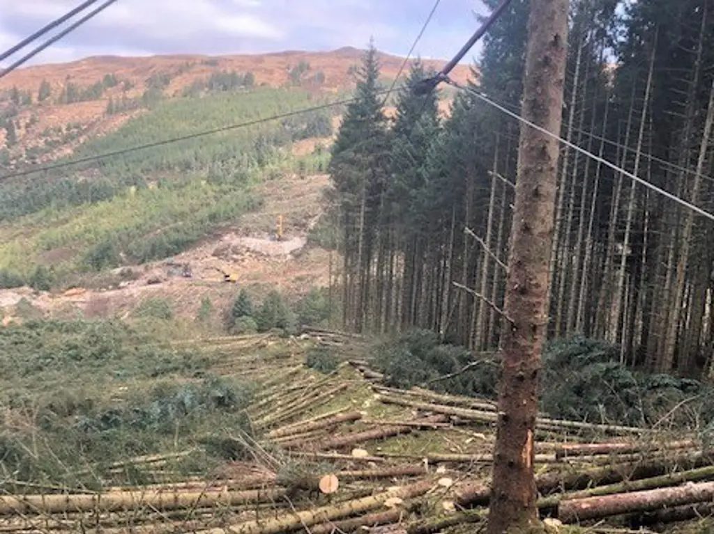 A steep felled site with a skyline system in place. There is a stand of unfelled conifers next to the felled area. 