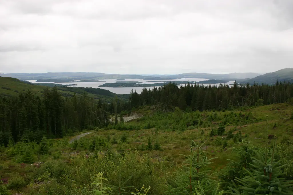 Photograph of the East Loch Lomond Forestry and Land Scotland site, with mixed woodland, loch and islands