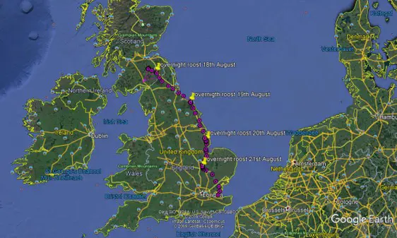 Satellite view of the UK with osprey flightpath marked