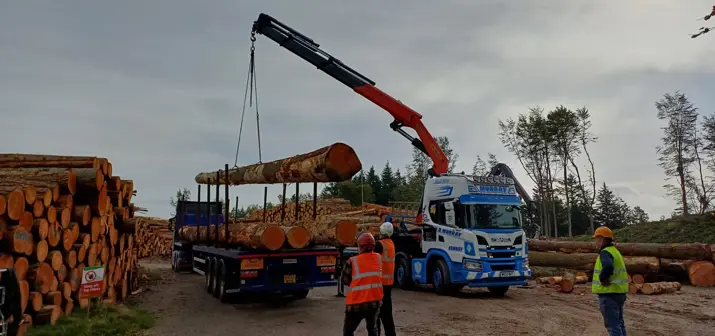 A crane lifts a log onto a truck filled with other piled up logs, workmen supervise the task.