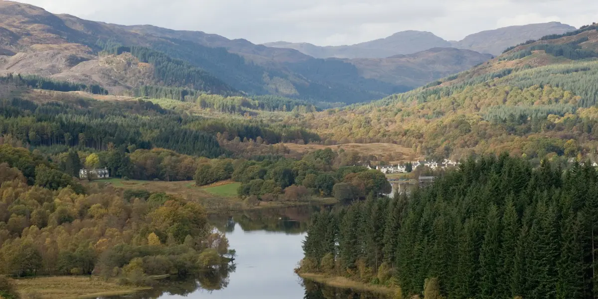 Woodland on the shores of Loch Ard