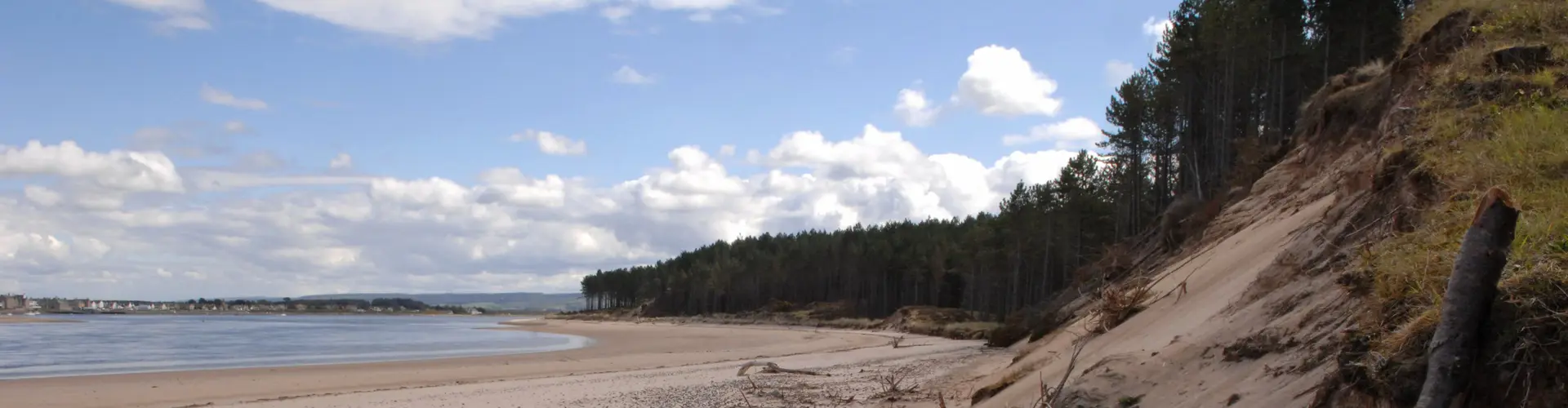 A white sandy beach with trees 