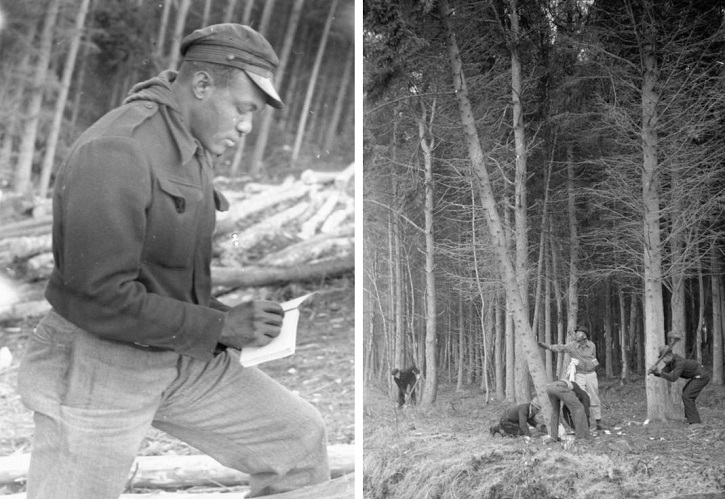 On the left, a man writes in a notebook at a felling site. On the right, a group of foresters are felling trees with axes.