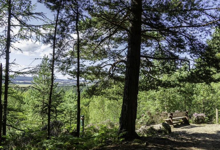 A bench overlooking a country side on a hill 