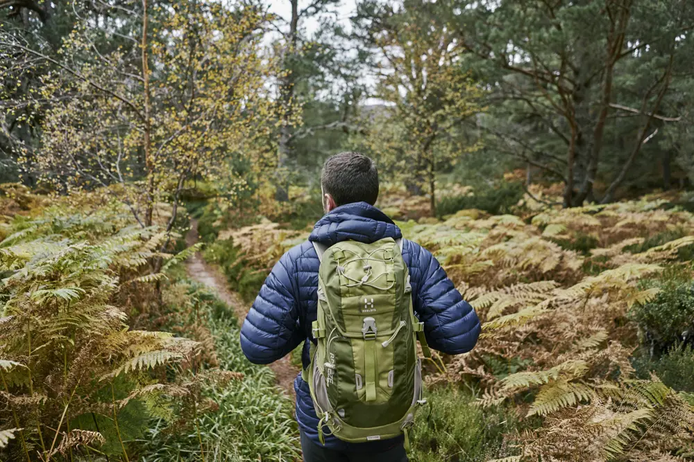 Man with rucksack on a forest trail
