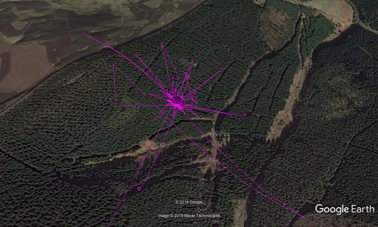 Satellite view of forest with osprey flightpath marked