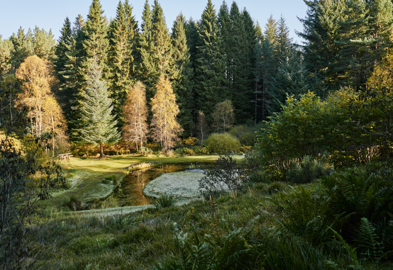 A view of a burn with conifer trees along the outskirts and a picnic bench along the edge of the water
