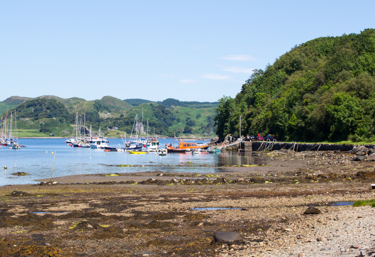 A rocky beach in a harbour with boats and a small woodland in the distance. 
