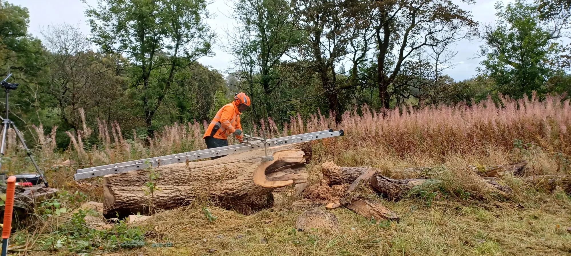 Alaskan mill in action first cut SM