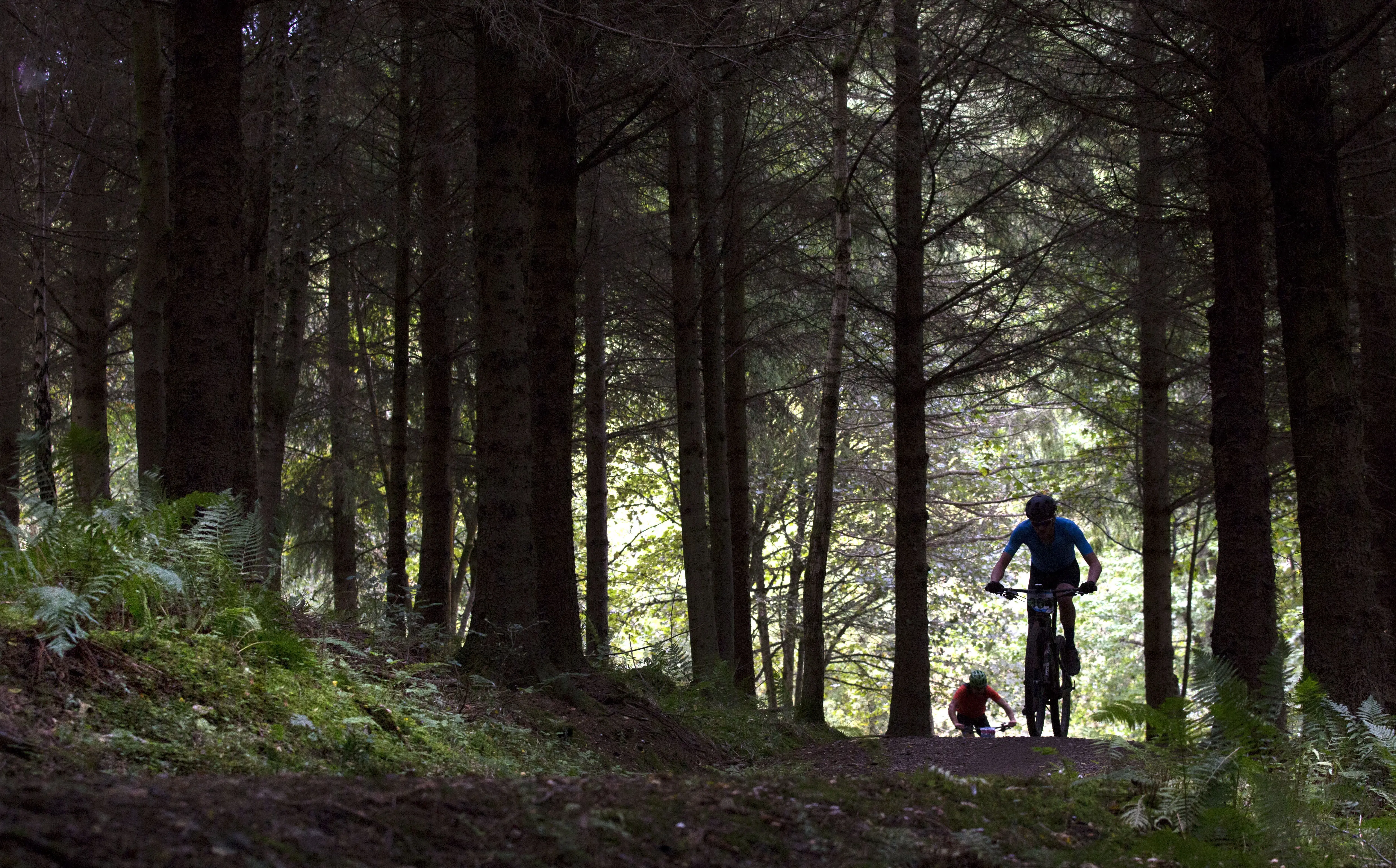 A dark wooded trail with two mountain bikers approaching.