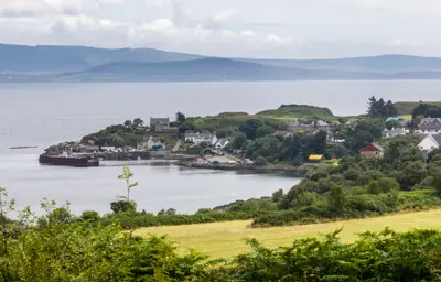 Ferns and trees around a field overlooking a small harbour with buildings and a pier