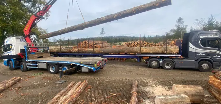A crane lowers a log onto the back of a lorry, felled logs lie on the floor.