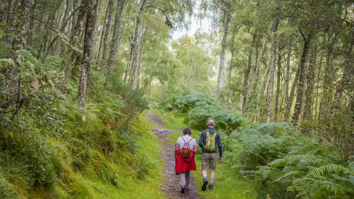 Two people walking along a forest path.