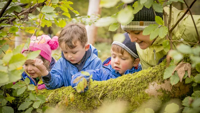 oung girl, young boys and teacher inspect moss covered log, Rannoch Wood, Renfrewshire Woods, near Johnstone