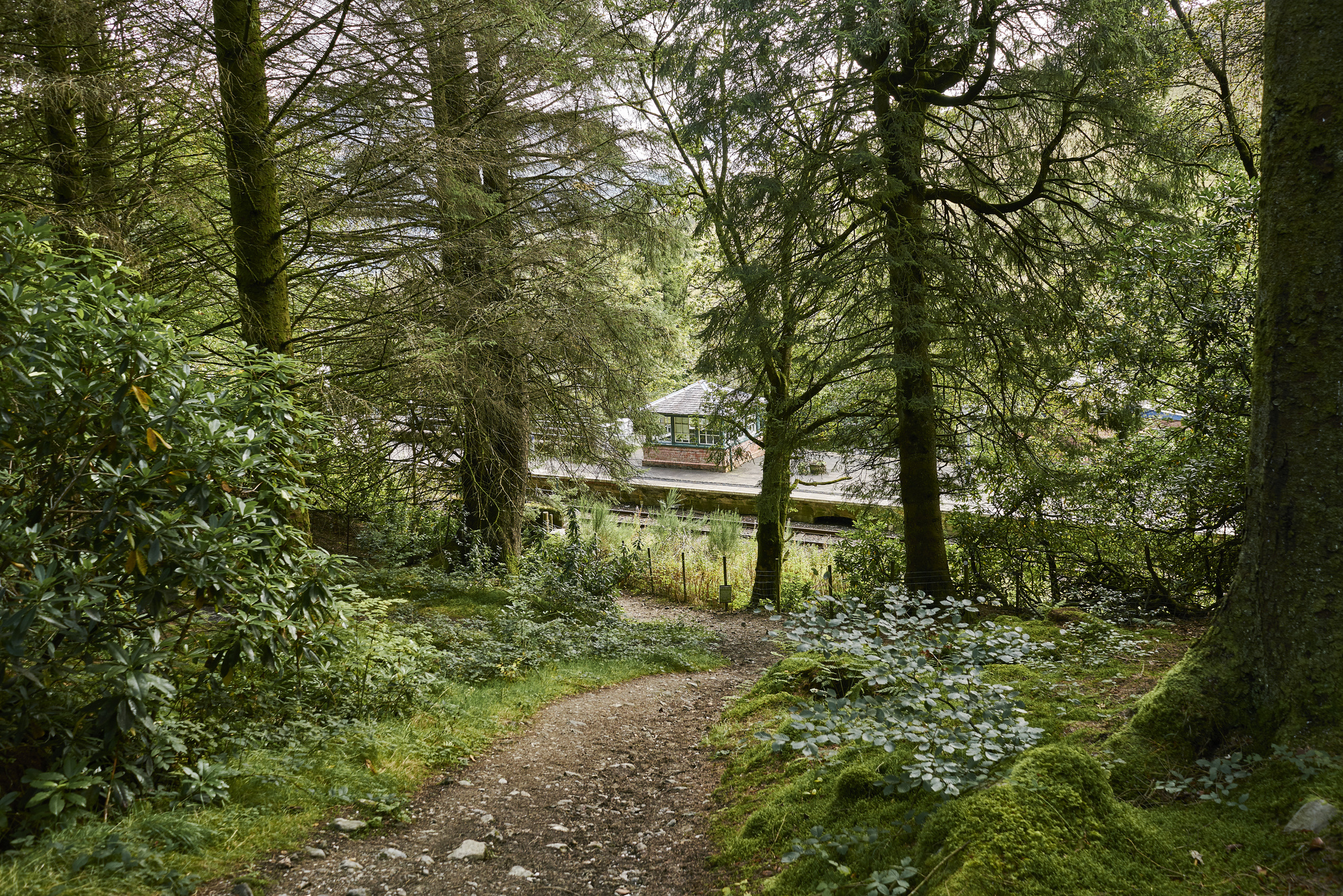 Looking down on Arrochar and Tarbet train station from Cruach Tairbeirt woods, near Tarbet