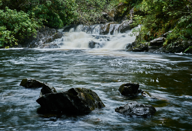 Waterfall cascades down into pool, surrounded by trees, ferns and boulders, Glen Righ forest, near Fort William