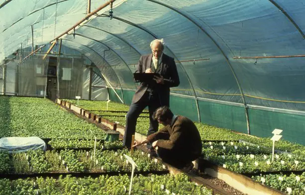 Inside of a polytunnel with saplings growing