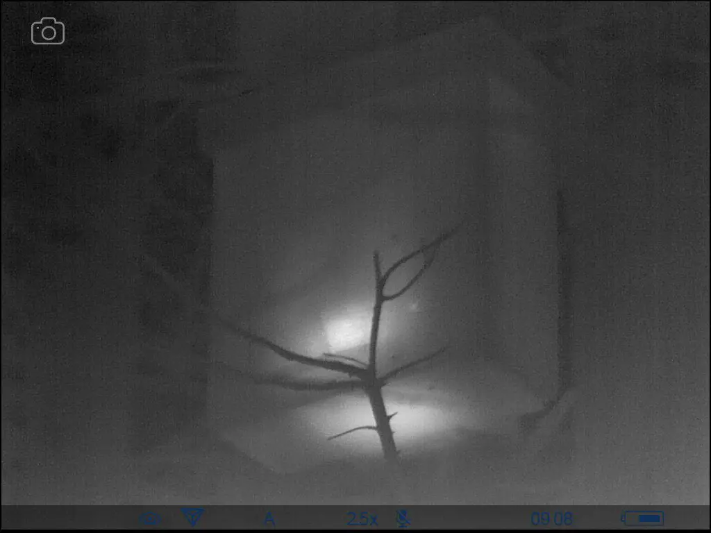 A black and white thermal image of a box in a tree