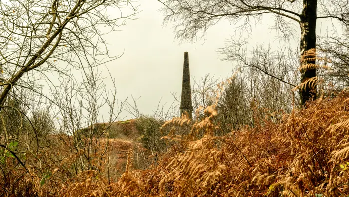 Monument through trees and bracken.