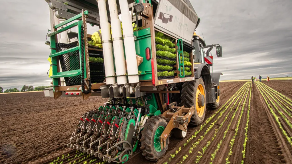 A tractor planting trees.