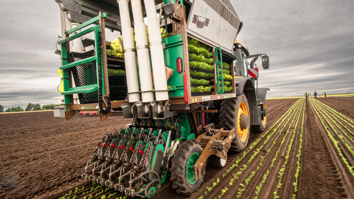 A tractor planting trees