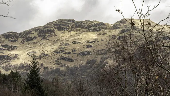 A rocky hillside behind a forest