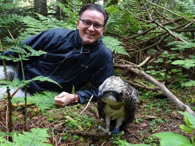 Man sitting next to a standing osprey