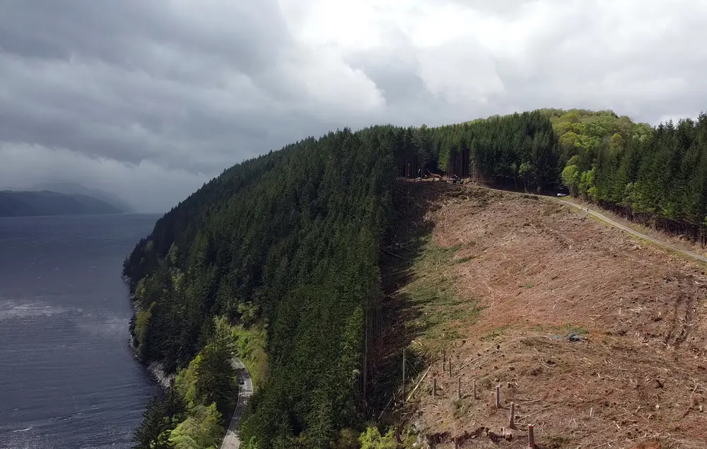 Drone image of harvesting site next to loch