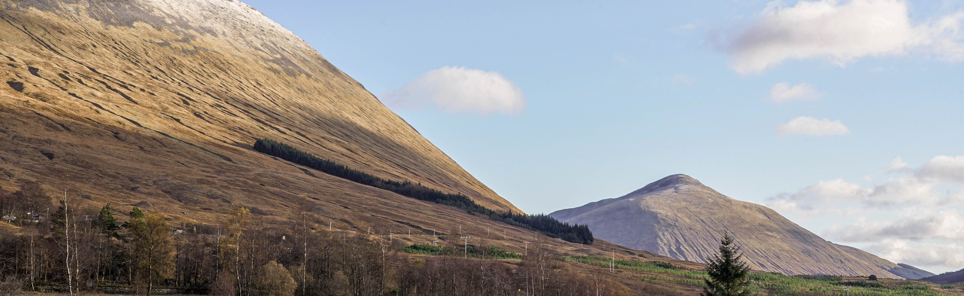 Close up of tree bark