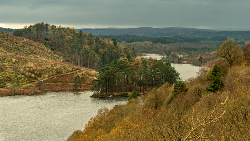 An island in a river with trees and hills in autumn