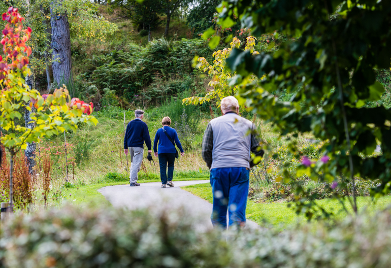 Three people walking on a well-surfaced path besides flower and trees.