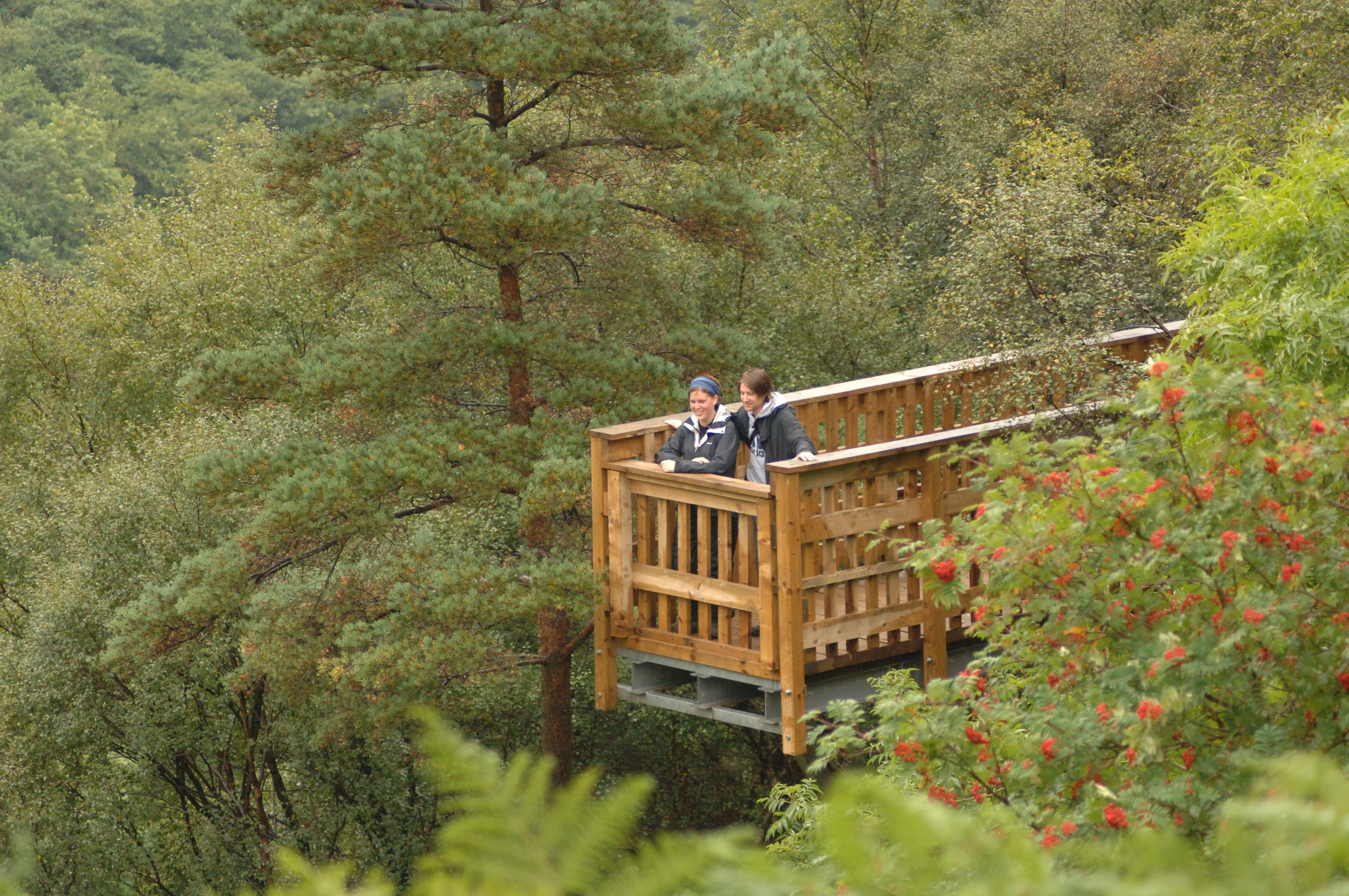The viewpoint at Glenashdale Falls