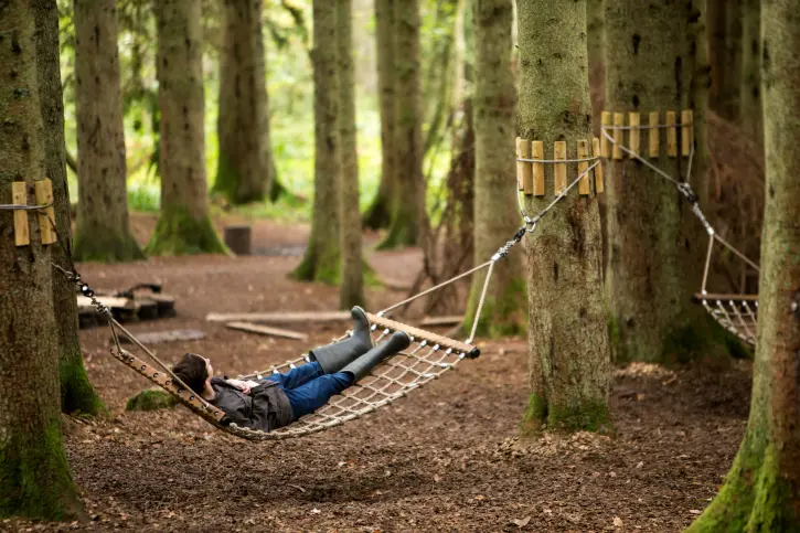 Person in a hammock strung up between two trees