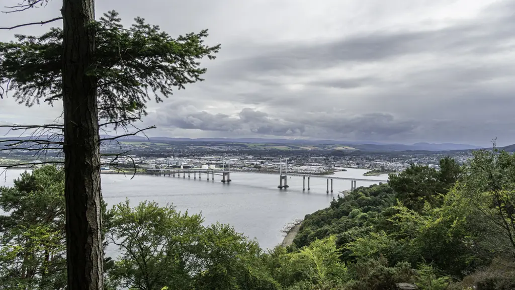 A hillside with trees overlooking water and a bridge towards a town.