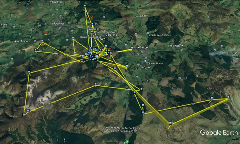 Flightpath of osprey