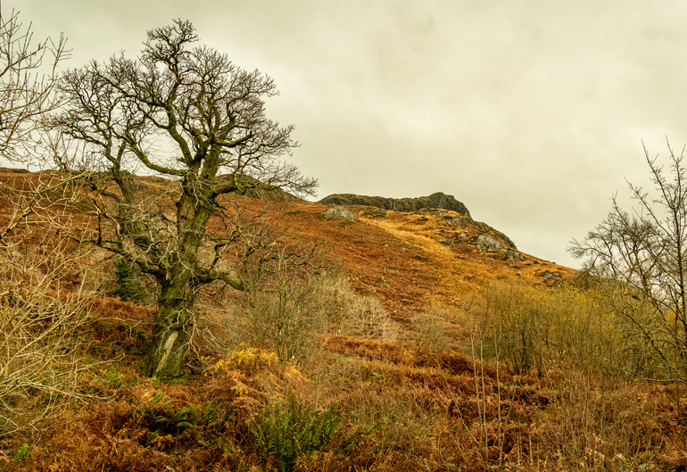 An autumn hillside with orange rocks