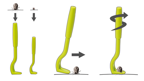 Illustrated demonstration of how to use a tick twister tool.