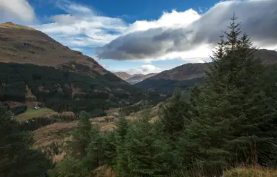 View of a mountain pass with conifer trees and native grass