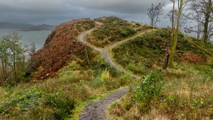 A path up a hillside overlooking the sea