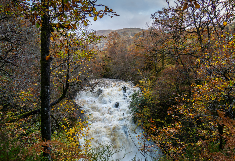 A waterfall with a mountain behind and surrounded by autumn trees
