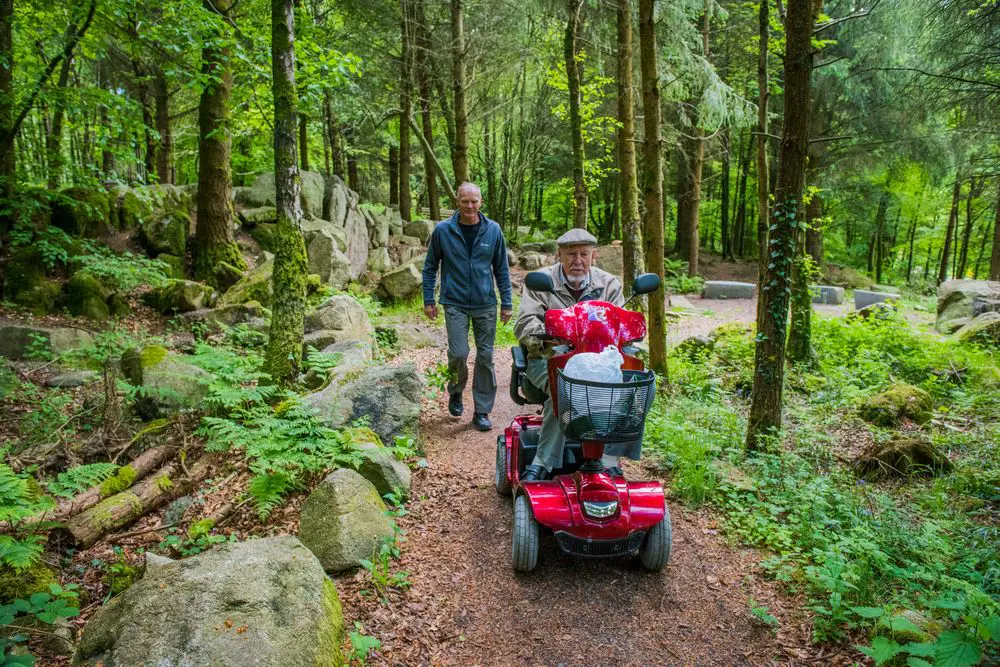  Mature man walks beside elderly man riding in mobility scooter on tree lined path, Dalbeattie Forest, near Dumfries