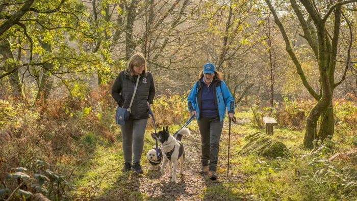 Two women walking their dogs on woodland path, Windyhill, Renfrewshire Woods, near Johnstone