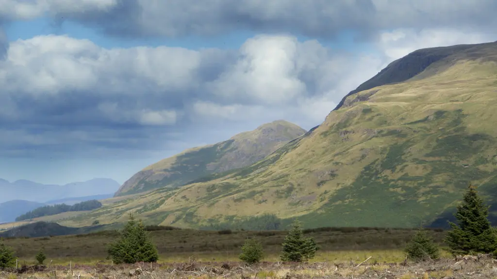 Clearfell site in the foreground with mountains and blue sky in the background.